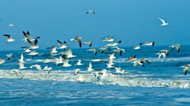 Các tranh chấp trên biển được giải quyết theo các cơ chế nào?
