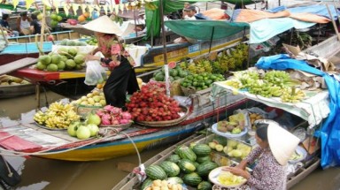  Triển khai dự án “Thích ứng biến đổi khí hậu vùng đồng bằng sông Cửu Long”