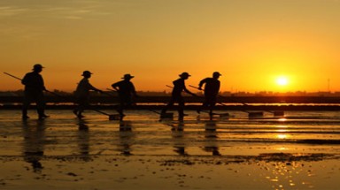  Tết buồn của người làm muối