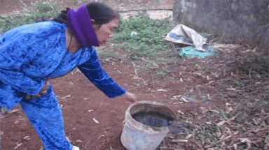 TH True Milk: "Đầu độc" người dân bằng... phân gia súc?
