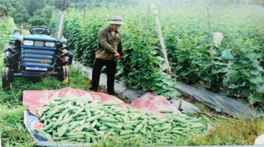 Hướng đi đúng ở vùng đất thuần nông