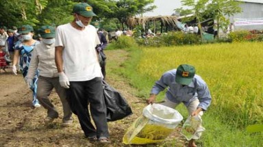 Trà Vinh:Nhân rộng mô hình thu gom rác thuốc bảo vệ thực vật trên đồng ruộng