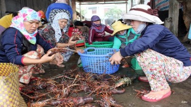  Lặn bắt tôm hùm, kiếm bạc tỉ