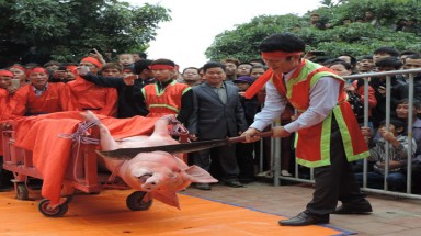 Kêu gọi chấm dứt Lễ hội Chém lợn tại làng Ném Thượng, Bắc Ninh