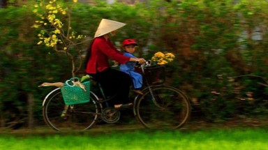  Ngóng xuân!