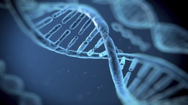Nga sẽ xây ngân hàng dữ liệu ADN lớn nhất thế giới 