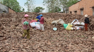  Đồng Nai: Người dân đổ xô bán lá điều khô