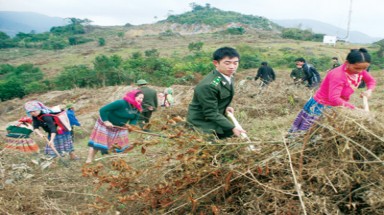   Lào Cai: Chủ động phòng chống cháy rừng trong mùa hanh khô 