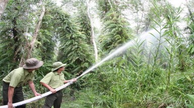   Lâm Đồng: Đầu tư gần 13,9 tỷ đồng phòng cháy, chữa cháy rừng trong mùa khô 2015 