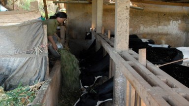 Dalat Milk thu hồi chính sách mua sữa kỳ lạ