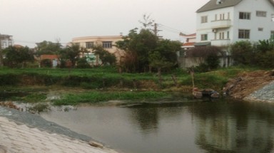  TP.HCM: Cả khu dân cư kêu cứu vì bị... muỗi tấn công