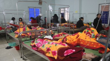  Nghệ An: 200 công nhân nghi trúng độc phân bón