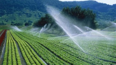   Giảm phát thải khí nhà kính trong lĩnh vực trồng trọt