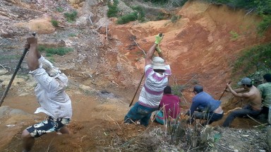  Lâm Đồng điều tra thông tin cán bộ lâm trường bảo kê cho “quặng tặc”