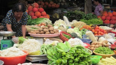  "Dân trồng rau sạch ăn, rau nhiễm thuốc để bán"