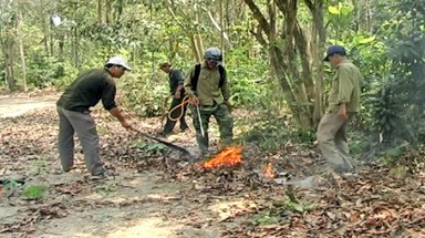   Đắk Lắk tập trung phòng chống cháy rừng ở những vùng trọng điểm 