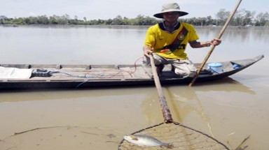 Hậu Giang kiên quyết xử lý nghiêm việc khai thác tận diệt thủy sản