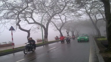  Thời tiết ngày 7 tháng 1:  Vùng núi phía Bắc nền nhiệt có nơi 11độ C