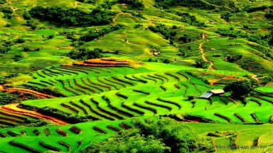 Thời tiết ngày 28 tháng 1: Cả 3 miền Bắc-Trung- Nam đều duy trì nắng ráo 