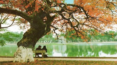 Thời tiết ngày 29 tháng 1: Miền Bắc trưa chiều giảm mây trời nắng