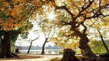  Thời tiết ngày 21 tháng 1: Nền nhiệt độ miền Bắc tăng nhanh
