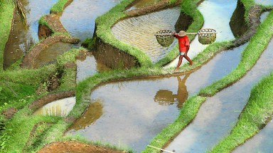 Thời tiết ngày 4 tháng 1: Nhiệt độ tăng nhẹ, Bắc Bộ ấm hơn
