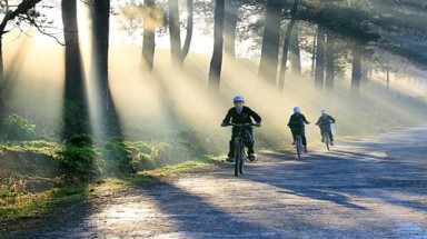 Đà Lạt huyền ảo trong sương khiến vạn người mê