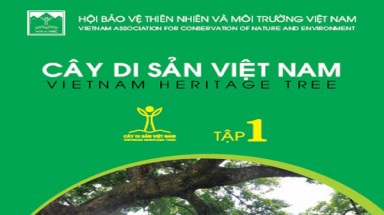  Ra mắt cuốn sách ảnh đầu tiên về Cây Di sản Việt Nam vào dịp đầu Xuân mới