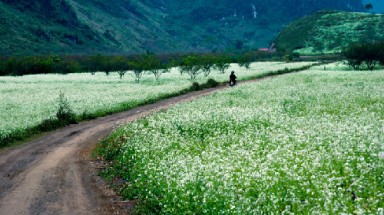  Miền Bắc nhiệt độ tăng nhẹ và có mưa nhỏ vài nơi