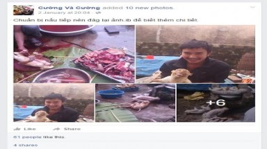  Kinh hoàng trước chùm ảnh giết hại khỉ dã man, vô nhân tính