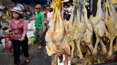  Dân Việt ăn cá urê, rau dầu nhớt, uống chè phân lân