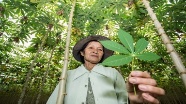  Những đóng góp quan trọng của Việt Nam tại "Hội nghị Cây trồng lấy rễ và củ" tại Nam Ninh, Trung Quốc