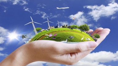  Thi viết về bảo vệ rừng và môi trường lần 2