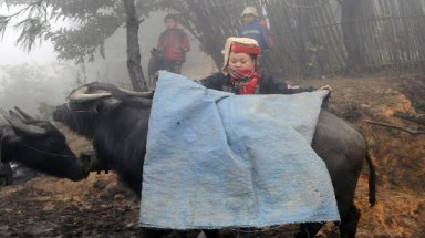  Lên kế hoạch ứng phó với rét đậm, rét hại