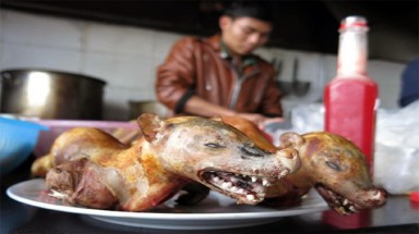 Đắk Nông: Phát hiện và bắt giữ 2 vụ kinh doanh thịt thú rừng trái phép