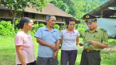  Tuyên Quang tăng cường bảo vệ và phát triển rừng