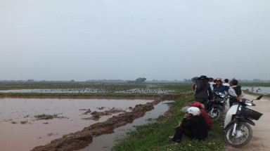 Nông dân đình công không xuống đồng, tại sao?
