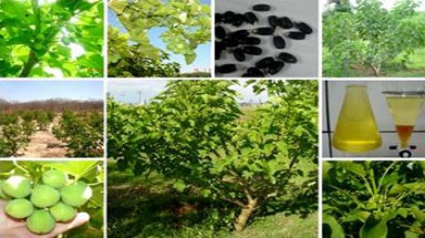  Việt Nam đẩy mạnh phát triển và ứng dụng công nghệ sinh học 