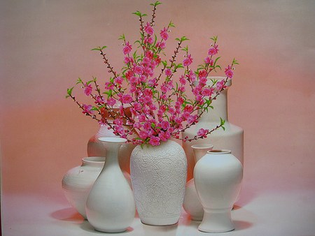  Hoa cho ngày Tết