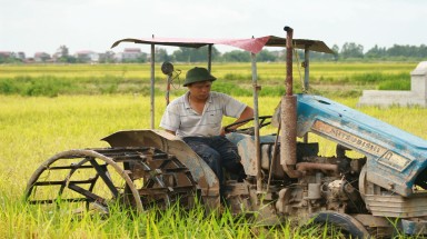  Hà Nội đầu tư mạnh cho lĩnh vực nông nghiệp, nông thôn 
