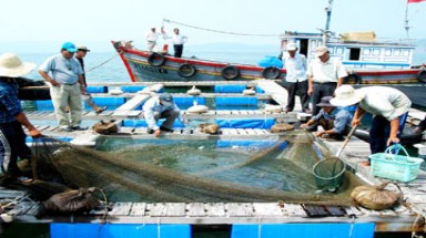  Xây dựng hệ thống nuôi trồng thủy sản vùng Châu Á – Thái Bình Dương bền vững 