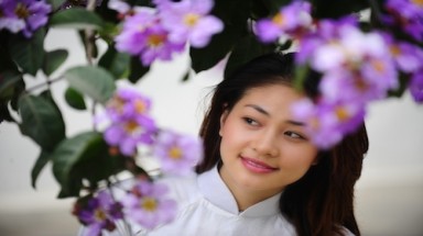 Bằng Lăng 