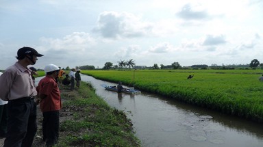     Hạn, mặn “tấn công” ĐBSCL