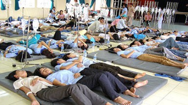  Năm 2011: Ngộ độc thực phẩm giảm, ngộ độc tập thể tăng đột biến