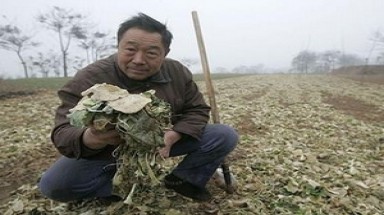   Trung Quốc: Thiếu nước sạch vì hạn hán kéo dài