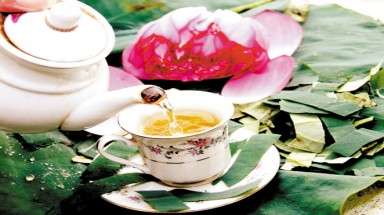 Hoa sen chữa trầm cảm, mất ngủ 