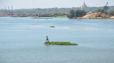     Sông Đồng Nai bị ô nhiễm nặng