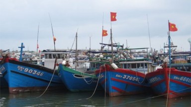  Thời tiết không thuận, nhiều tàu thuyền chưa ra khơi 