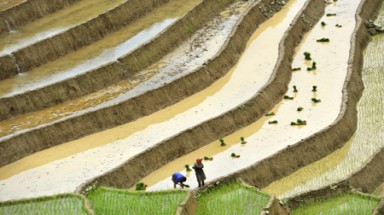  Một nông dân ở xã vùng cao chế tạo thành công máy cày trên ruộng bậc thang