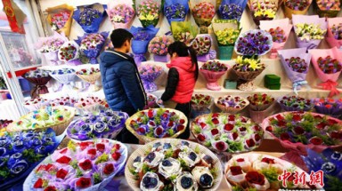  Ấn tượng hoa hồng "cầu vồng đa sắc" 